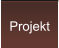 Projekt